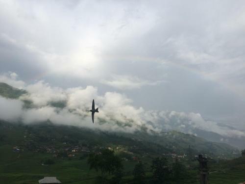 Hoa's Homestay Sapa