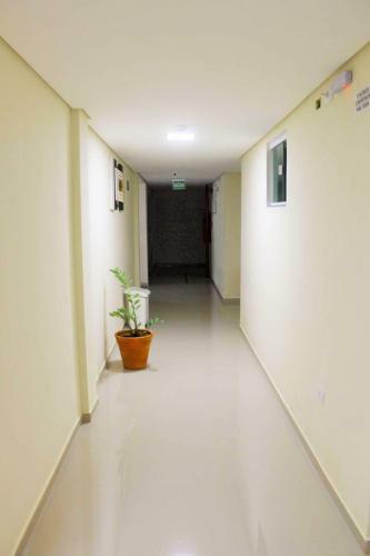 Seabra Hotel