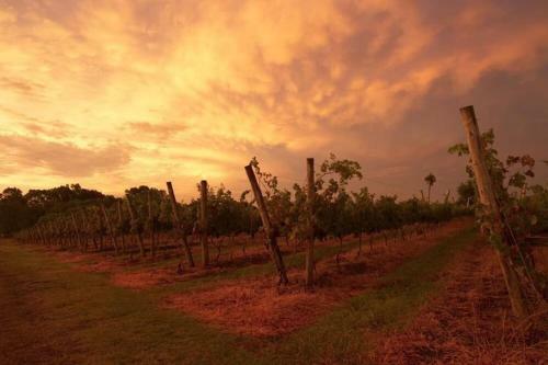 Hotel Narbona Wine Lodge