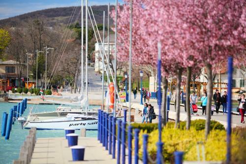 Bed & Breakfast Balkon Apartmanh�z Panzi�