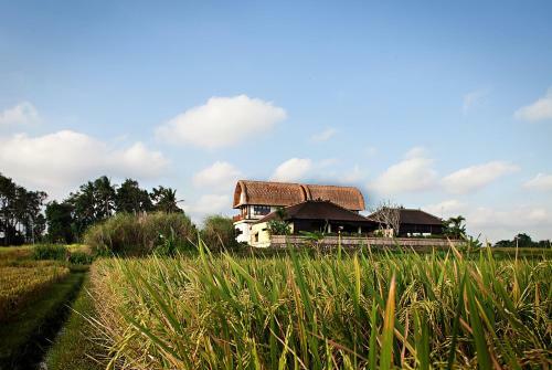 Kubu Kedungu Villas