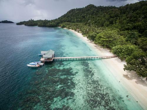 Hotel Raja Ampat Biodiversity Nature Resort