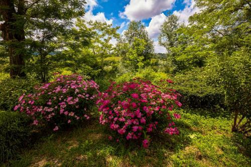 Apartamento Tenuta Di Ghizzano