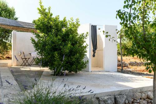 Charming Villas With Pool In Valle D'itria