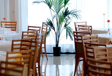 Meditur Hotel Pomezia