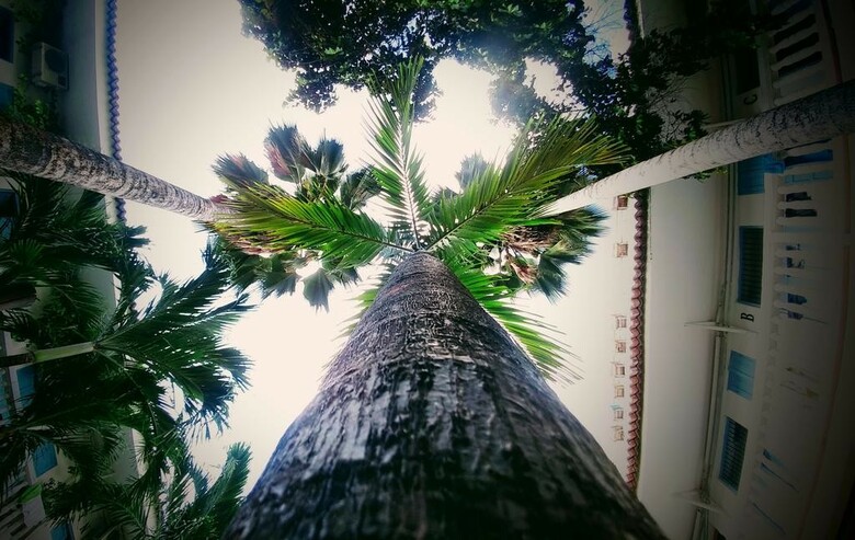 Hostal Media Luna Hostel