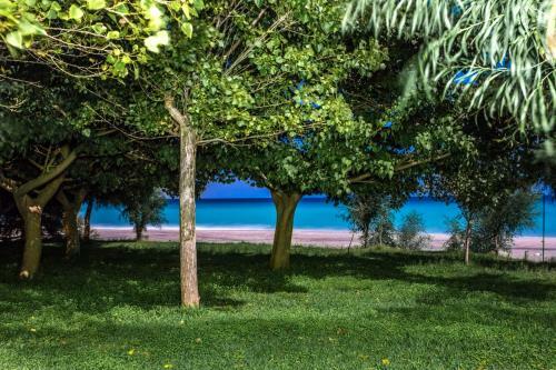 Apartamento Torre S.antonio