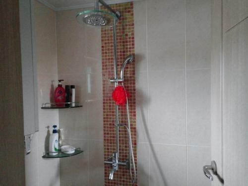 Hostal Ophir House