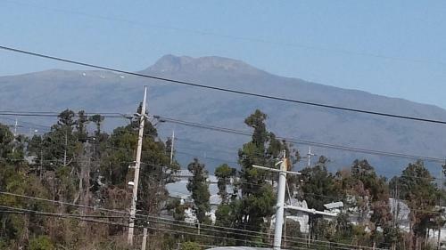 Hostal Ophir House