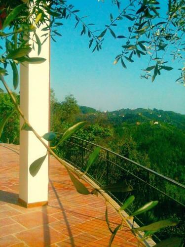 Agroturismo Agriturismo Oliva Azzurra