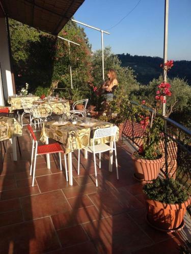 Agroturismo Agriturismo Oliva Azzurra