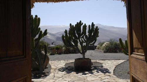 Hotel Wara