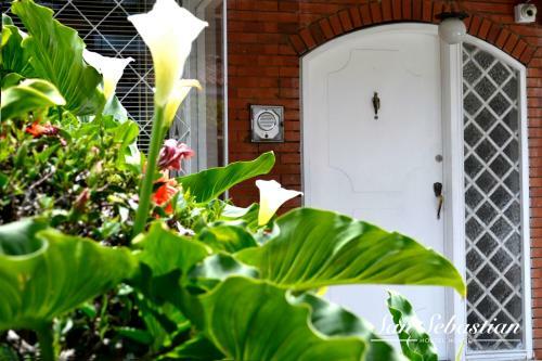 Hotel Casa Amanda B&B
