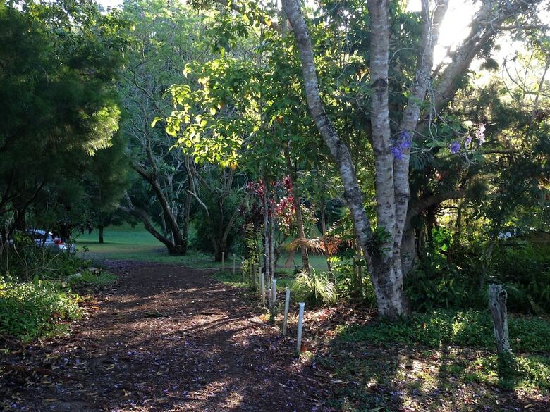 Lake Eacham Tourist Park & Self Contained Cabins