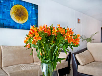 Hotel San Jos� Plaza