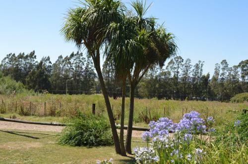 Lodge Refugio Del Angel