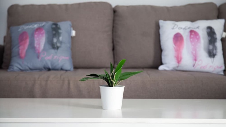 Apartamentos Flats Friends Torres Quart