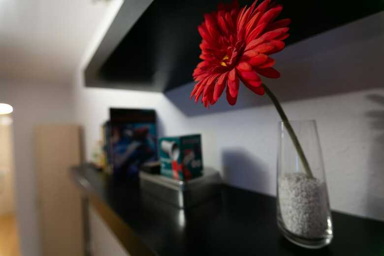 Apartamentos Charming House Sevilla