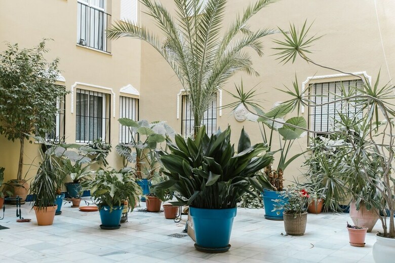 Sevilla Apartments Leonor Ba