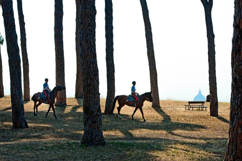 Hotel Pinewood
