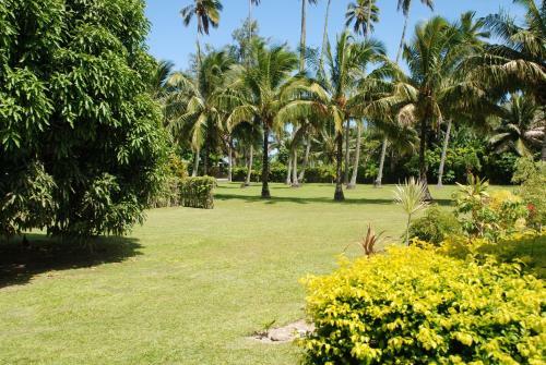 Hotel Palm Grove
