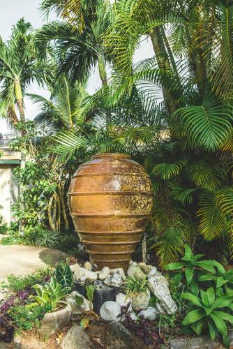 Apartamentos The Cooks Oasis - Holiday Villas