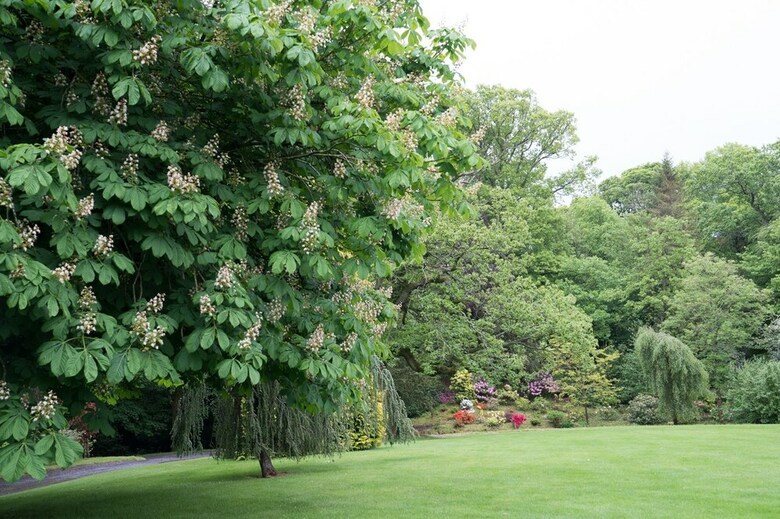 Bed & Breakfast West Plean House