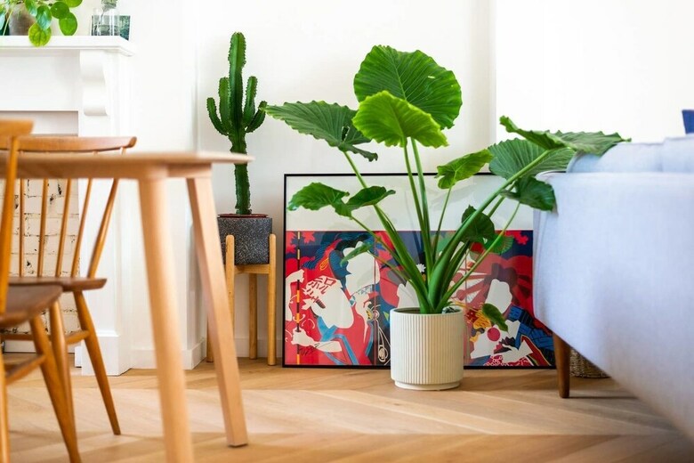 Charming 3br Home In East London W/terrace