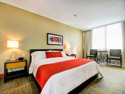 Hotel San Fernando Plaza