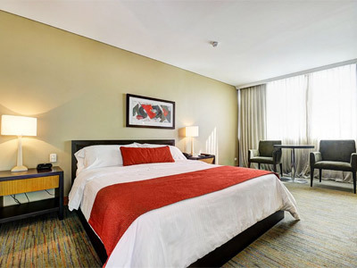 Hotel San Fernando Plaza