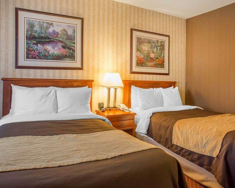 Hotel Comfort Inn Toronto Airport