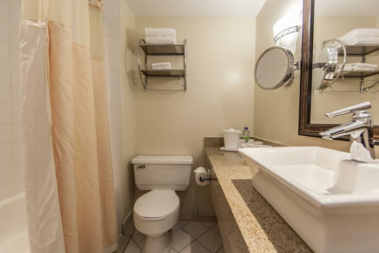 Hotel Holiday Inn Montreal Airport
