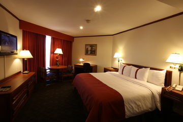 Hotel Holiday Inn