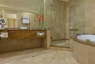 Hotel Westin Camino Real