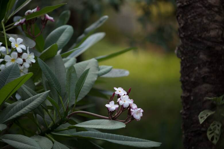 Hotel Sonalong Boutique Village & Resort