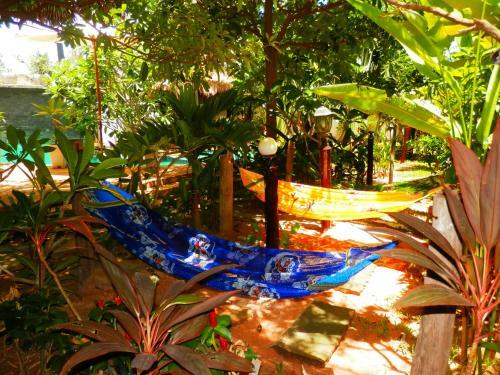 Bed & Breakfast Hak's House