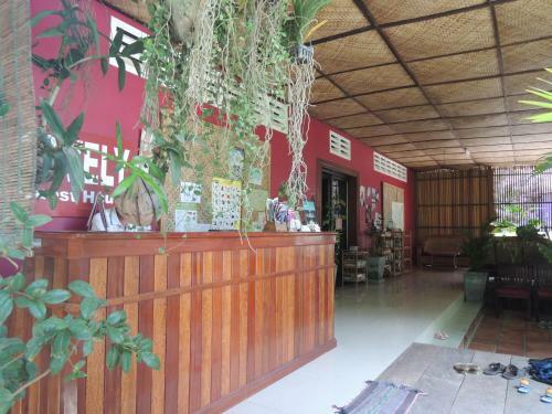 Hostal Lovely Guesthouse