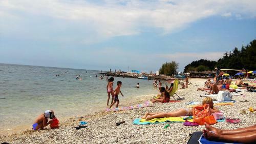 Apartments Villa Mihaela