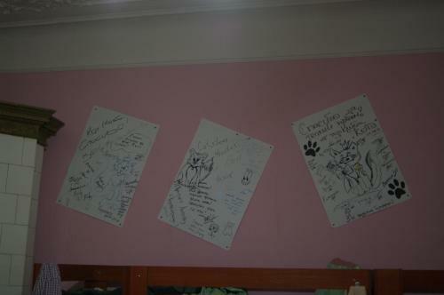 Cats' House Hostel