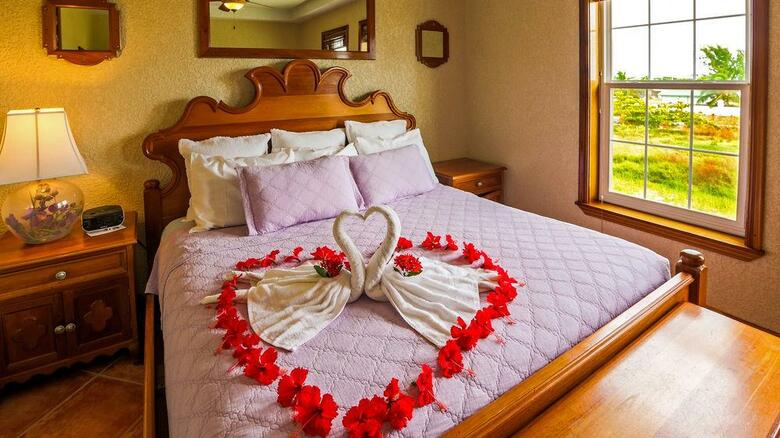 Hotel Grand Colony Island Villas