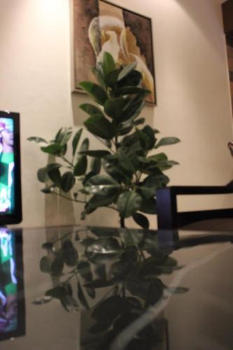 Ray Kady Hotel Apartment 1