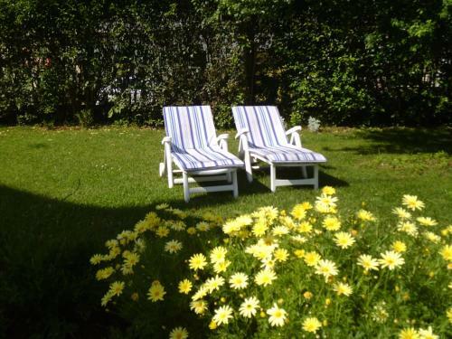 Apartments Villa Herak