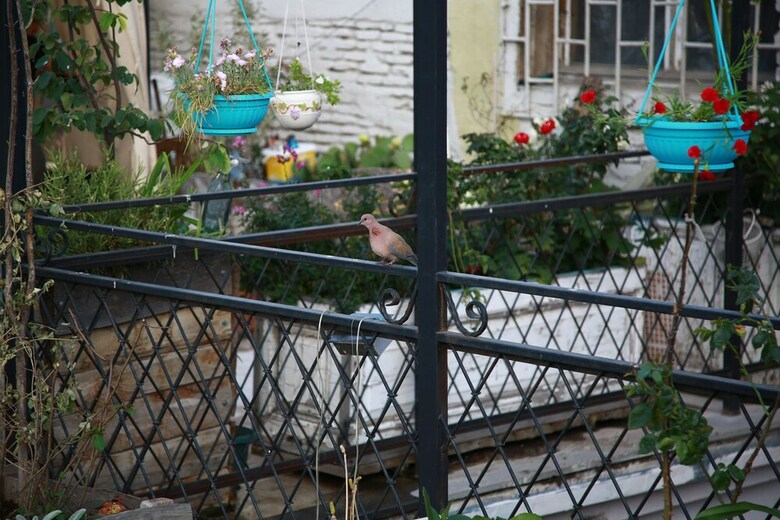 Terrace Garden Hotel