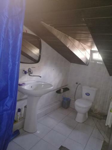 Hostal St Hostel