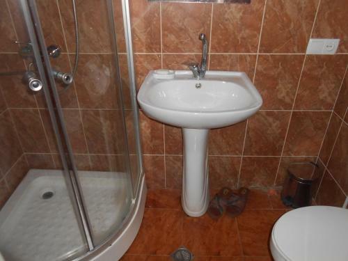 Bed & Breakfast Noah's Ark