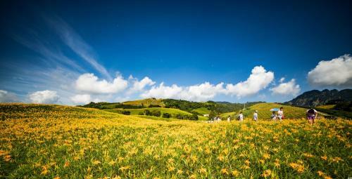 Bed & Breakfast Travelers Home