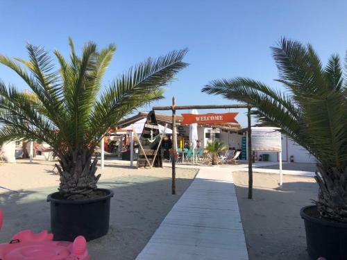 Happy Apartments Mamaia Nord -2 Dormitoare