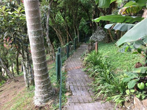 Hostal Orchid Garden Lodge - Matadeiro
