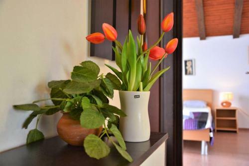 Apartment Marija