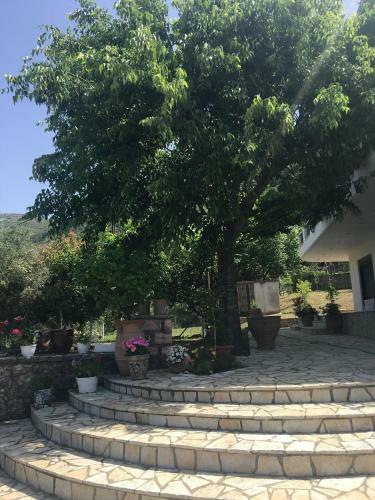 Villa Olive Garden House
